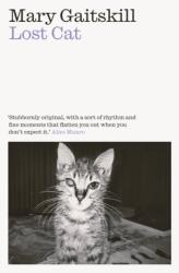 Lost Cat (ISBN: 9781911547808)