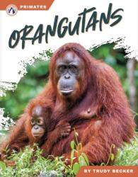 Orangutans (ISBN: 9798892508278)