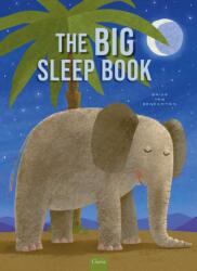 Big Sleep Book (ISBN: 9798890633521)