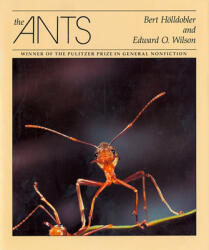 The Ants (ISBN: 9780674040755)