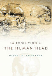 Evolution of the Human Head - Daniel E Lieberman (ISBN: 9780674046368)