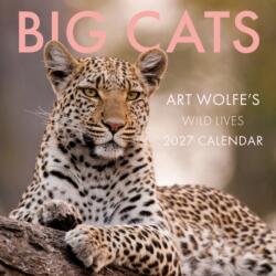 2027 Big Cats Wall Calendar (ISBN: 9798887621999)
