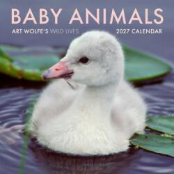 2027 Baby Animals Wall Calendar (ISBN: 9798887621982)