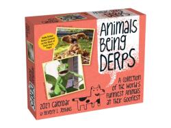 Animals Being Derps 2027 Day-to-Day Calendar (ISBN: 9798881607777)