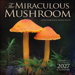 The Miraculous Mushroom 2027 Wall Calendar (ISBN: 9798881607104)