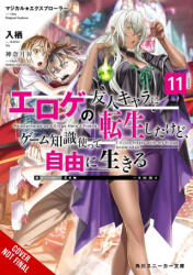 Magical Explorer, Vol. 11 (ISBN: 9798855421941)