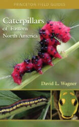 Caterpillars of Eastern North America - David L. Wagner (ISBN: 9780691121444)