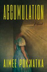 Accumulation (ISBN: 9798217047628)