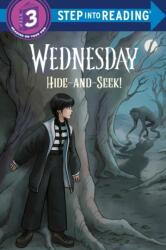 Hide and Seek! (ISBN: 9798217226894)
