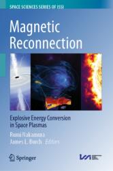 Magnetic Reconnection (ISBN: 9789402423600)