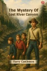 The Mystery Of Lost River Canyon (ISBN: 9789371465151)