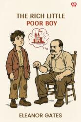 The Rich Little Poor Boy (ISBN: 9789371139106)