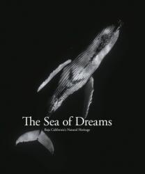The Sea of Dreams (ISBN: 9788831403726)