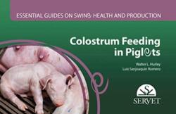 Colostrum feeding in piglets. Essential guides on swine health and production (ISBN: 9788417640224)