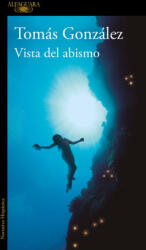 Vista del abismo (ISBN: 9788410299443)