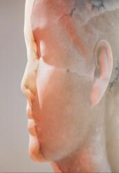 Jaume Plensa: Inner Matter (ISBN: 9788410290204)