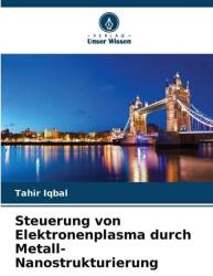 Controlul plasmei de electroni prin nanostructurarea metalelor (ISBN: 9786209389702)