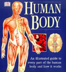 Human Body - Ann Baggaley (ISBN: 9780789479884)