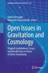 Open Issues in Gravitation and Cosmology (ISBN: 9783032157027)