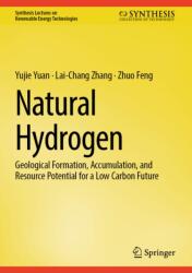 Natural Hydrogen (ISBN: 9783032144683)