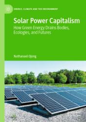 Solar Power Capitalism (ISBN: 9783032137067)