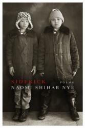 Sidekick (ISBN: 9781968507091)