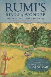 Rumi's Birds of Wonder (ISBN: 9781966608332)