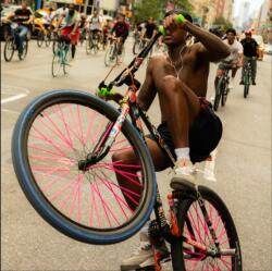 Bike Life (ISBN: 9781963814255)