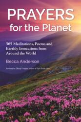 Prayers for the Planet (ISBN: 9781963667394)