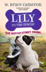 Lily to the Rescue: The Not-So-Stinky Skunk (ISBN: 9781250234483)
