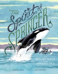 Spirit of Springer (ISBN: 9781632172129)