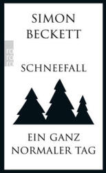 Schneefall & Ein ganz normaler Tag (ISBN: 9783499290725)