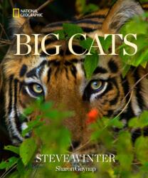 Big Cats - Sharon Guynup (ISBN: 9781426224171)