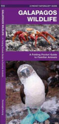 Galapagos Wildlife - James Kavanagh (ISBN: 9781583550816)