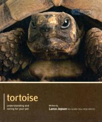 Tortoise - Pet Expert (2011)