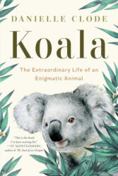 Koala (2024)