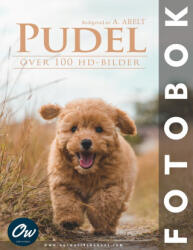 Pudel | A Arelt, Our World (2025)