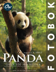 Panda | A Arelt, Our World (2025)