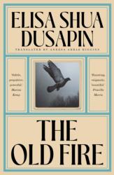 The Old Fire (ISBN: 9781917092333)