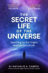 The Secret Life of the Universe (ISBN: 9781398531321)