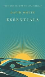 Essentials (ISBN: 9781838858124)