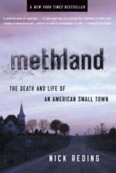Methland - Nick Reding (ISBN: 9781608192076)