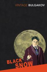 Black Snow (ISBN: 9780099479321)