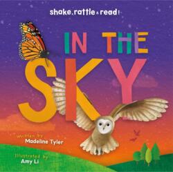 In the Sky (ISBN: 9781786377470)