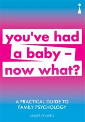 A Practical Guide to Family Psychology (ISBN: 9781785784729)