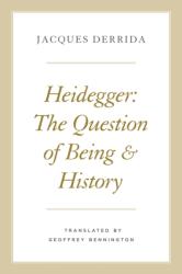 Heidegger (ISBN: 9780226678924)