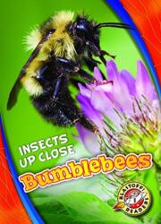 Bumblebees (ISBN: 9781626178014)