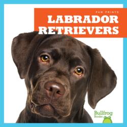Labrador Retrievers (ISBN: 9781624967788)