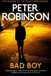 Bad Boy (ISBN: 9780340836972)