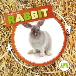 Rabbit (ISBN: 9781786379382)